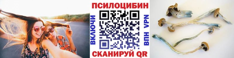 Псилоцибиновые грибы Psilocybine cubensis цены наркотик Буйнакск