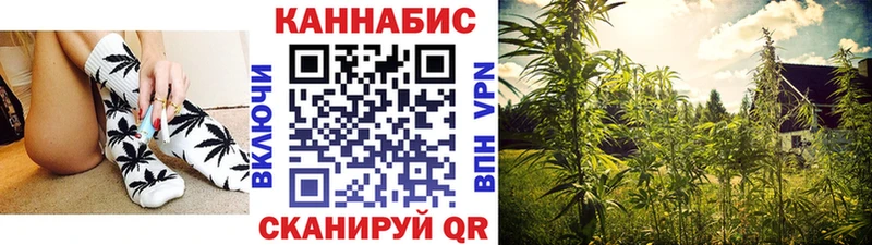 сайты даркнета наркотические препараты Буйнакск Шишки марихуана ГИДРОПОН где можно купить наркотик